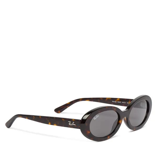 Ray-Ban Sunčane naočale Ray-Ban 0RB2223 Smeđa