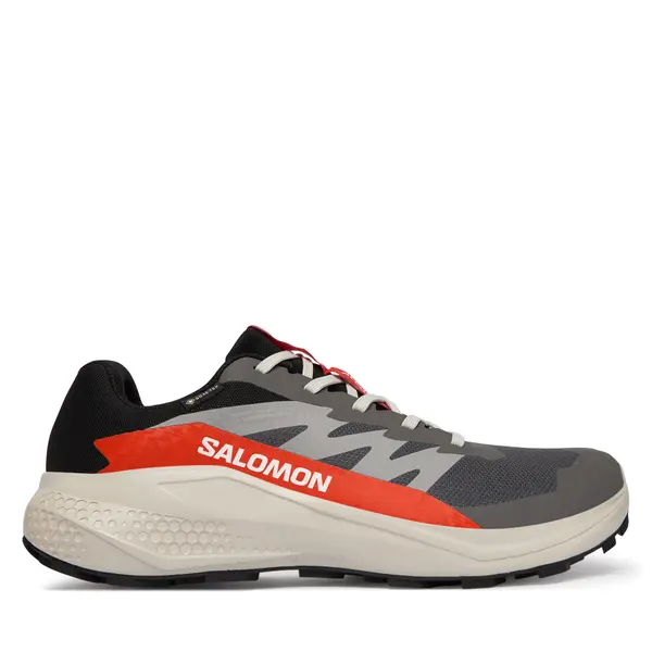 Salomon Tenisice za trčanje Salomon Alphaglide Gore-Tex L47975300 Siva