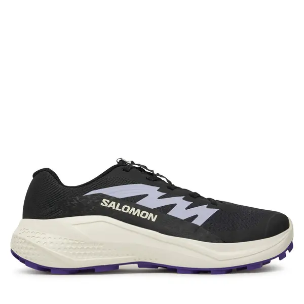 Salomon Tenisice za trčanje Salomon Alphaglide L47801800 Siva
