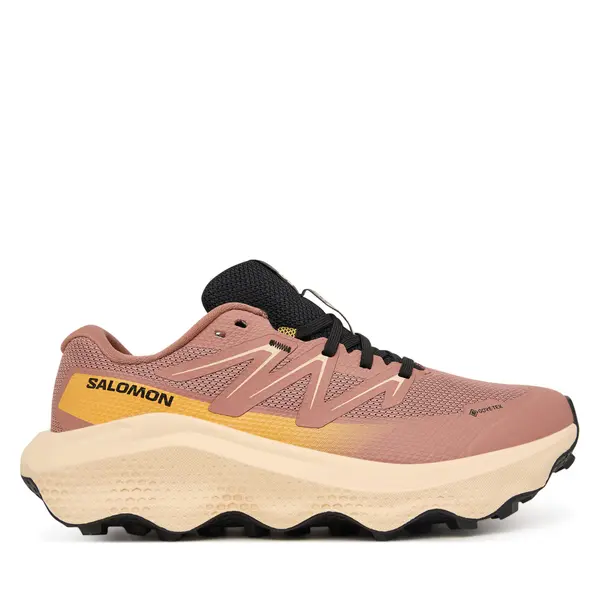 Salomon Tenisice za trčanje Salomon Ultra Flow 2 Gtx L47884500 Ružičasta