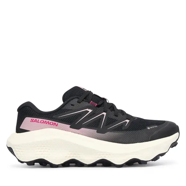 Salomon Tenisice za trčanje Salomon Ultra Flow 2 Gtx W GORE-TEX L49299500 Crna