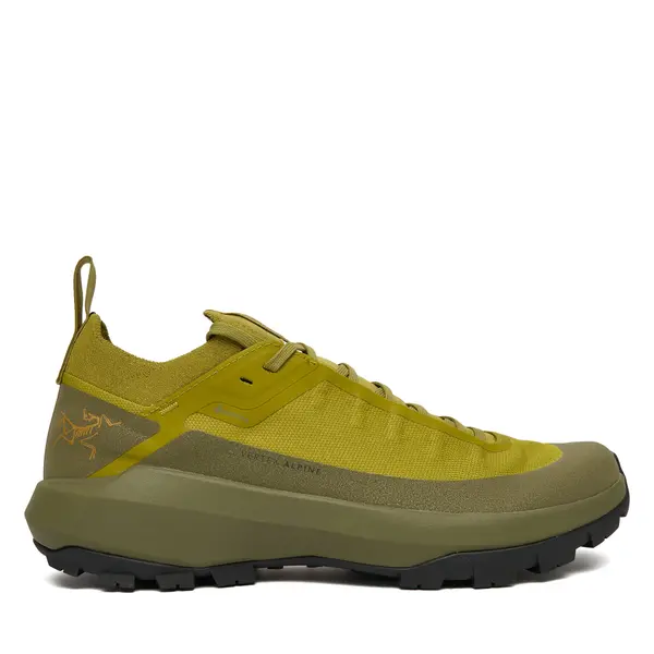 Arcteryx Trekking Arc'teryx Verte Alpine Gtx Gore-Tex X000009602 Zelena
