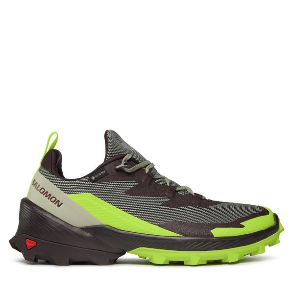 Salomon Trekking Salomon Cross Over 2 GORE-TEX L47268600 Desert Sage/Green Gecko/Chocolate Plum