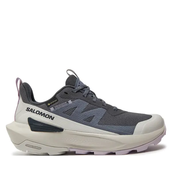 Salomon Trekking Salomon Elixir Activ Gore-Tex L47526500 Siva