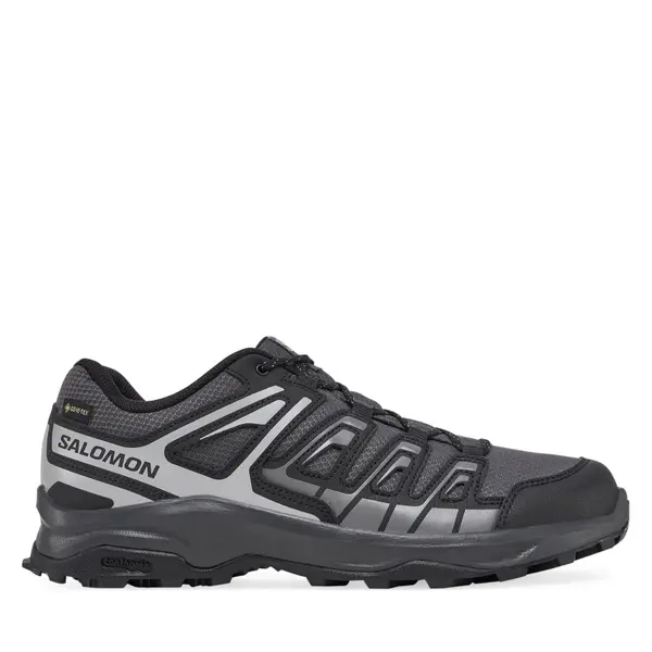Salomon Trekking Salomon Extegra Gore-Tex L47768800 Siva