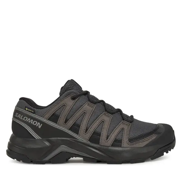 Salomon Trekking Salomon X-Adventure Recon Gore Tex L47809200 Siva