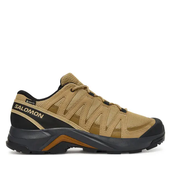Salomon Trekking Salomon X-Adventure Recon Gore-Tex L47813100 Smeđa