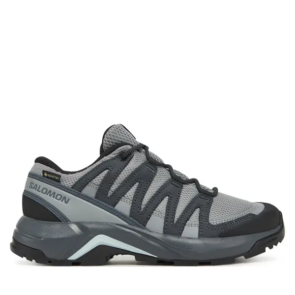 Salomon Trekking Salomon X-Adventure Recon Gore Tex L47813300 Siva