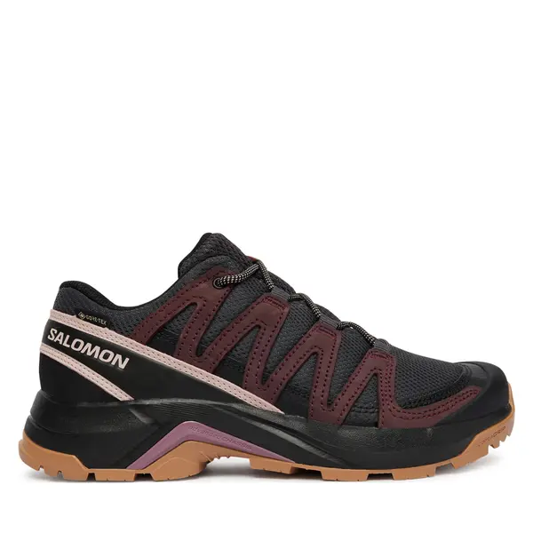 Salomon Trekking Salomon X-Adventure Recon Gtx L49096600 Smeđa