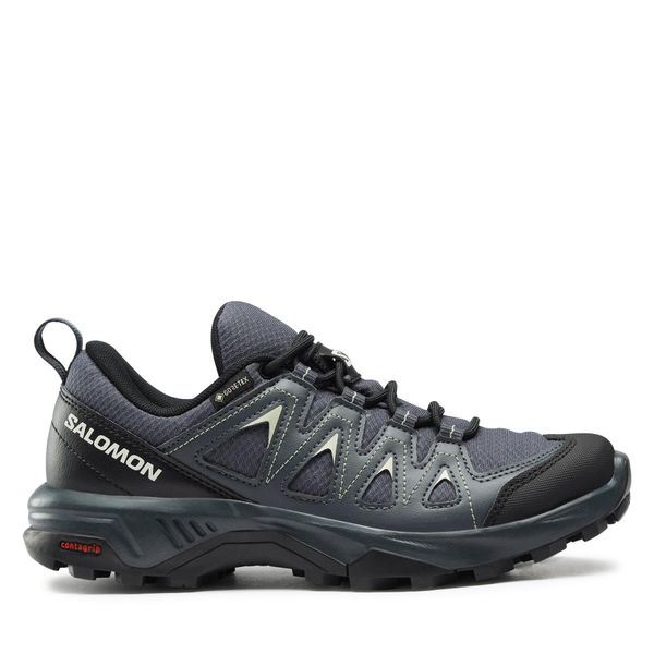 Salomon Trekking Salomon X Braze GORE-TEX L47180800 India Ink/Black/Desert Sage