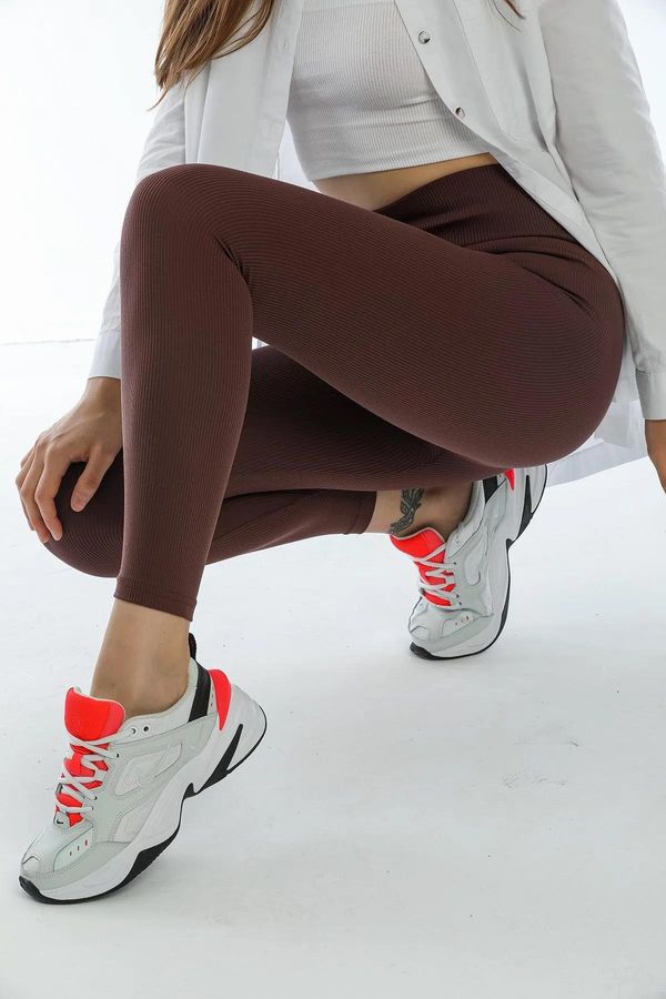 dewberry 80927 Dewberry High Waist Ribbed Interlock Womens Tights-COFFEE