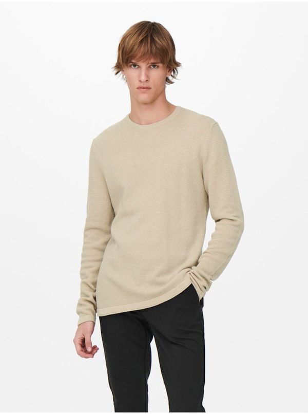 Only Beige men's basic sweater ONLY & SONS Panter - Men's