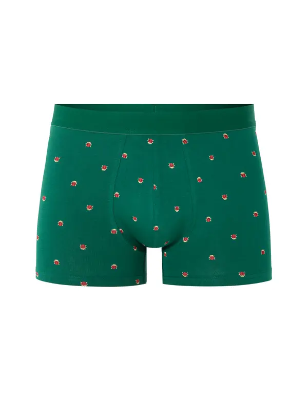 Celio Bokserice Celio Nibococino