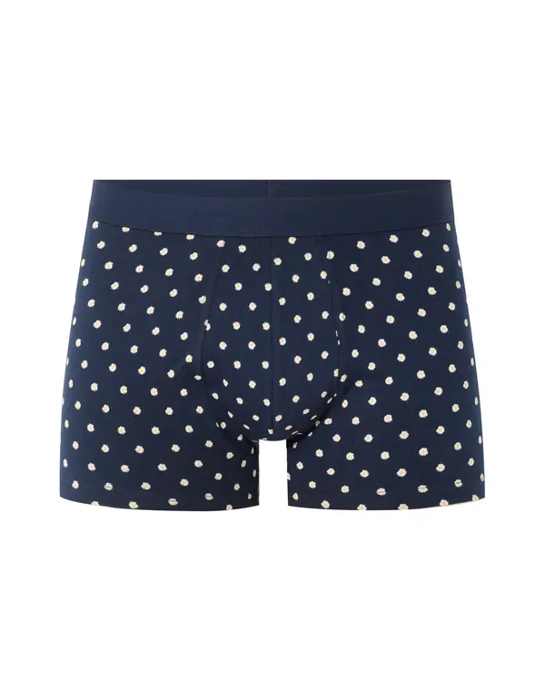 Celio Bokserice Celio Nibodaisy