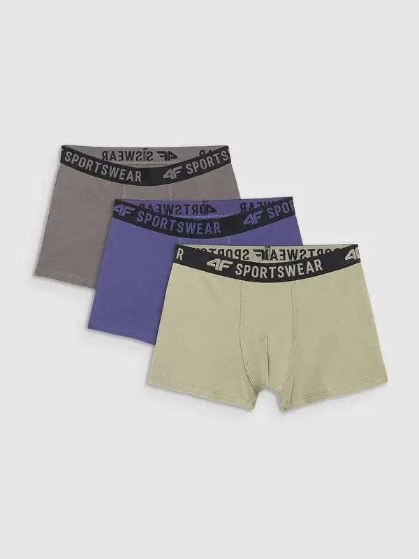 4F Boys' boxers 4F (3pack)