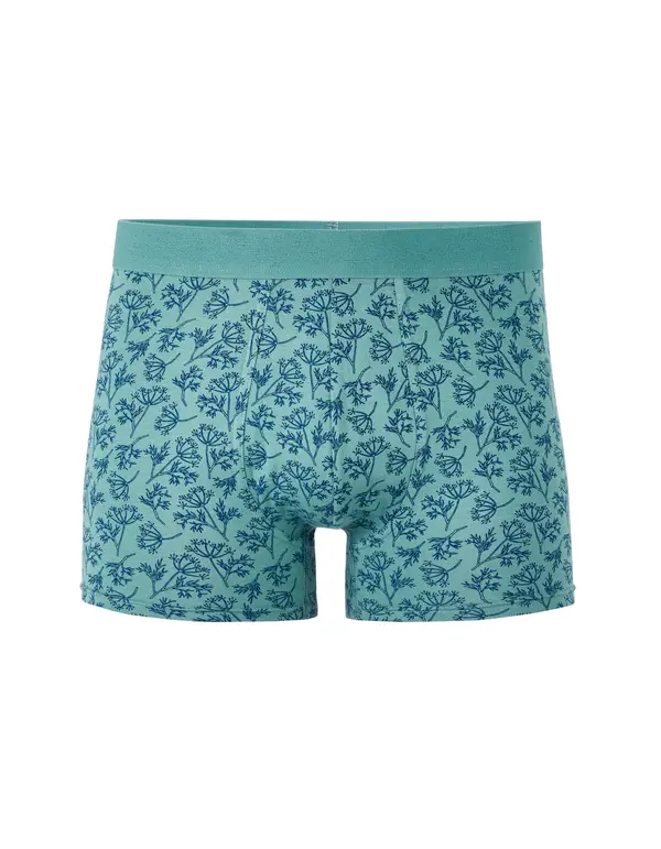 Celio Celio bokserice Libofloral