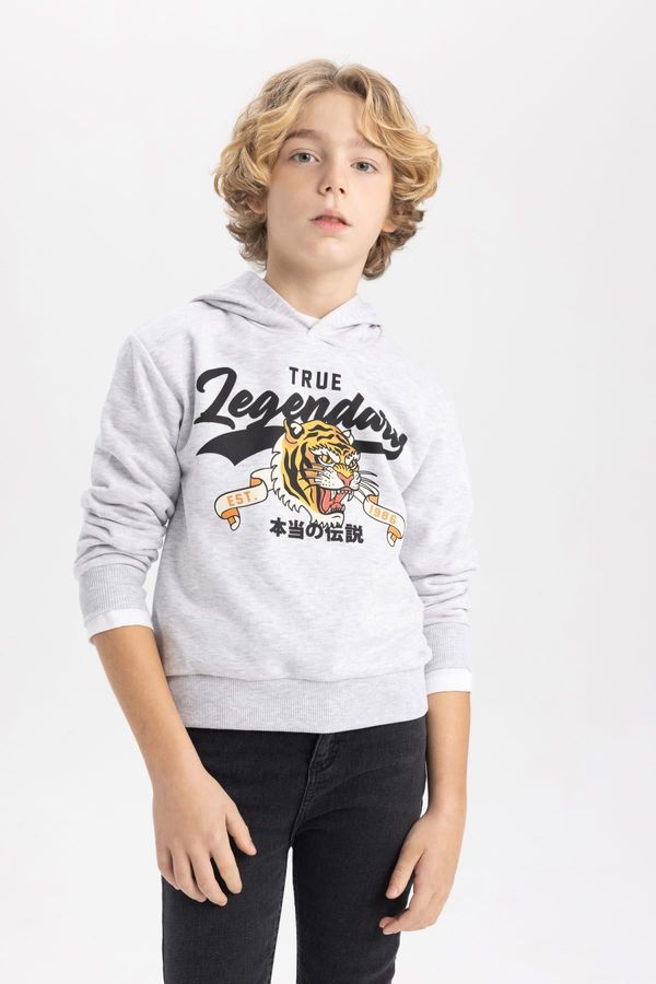 DEFACTO DEFACTO Boy's Hooded Printed Sweatshirt