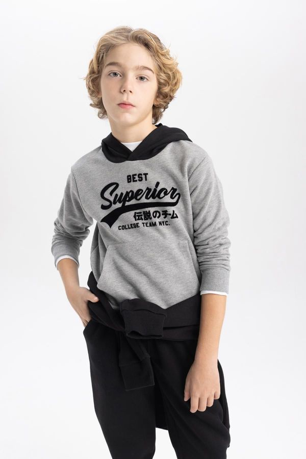 DEFACTO DEFACTO Boy's Printed Hooded Thick Sweatshirt