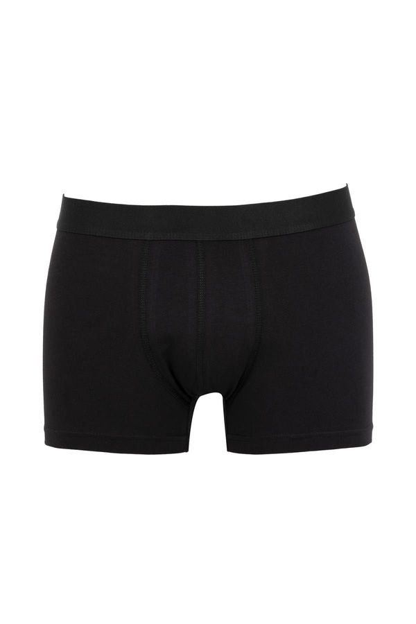 DEFACTO DEFACTO Regular Fit Boxer