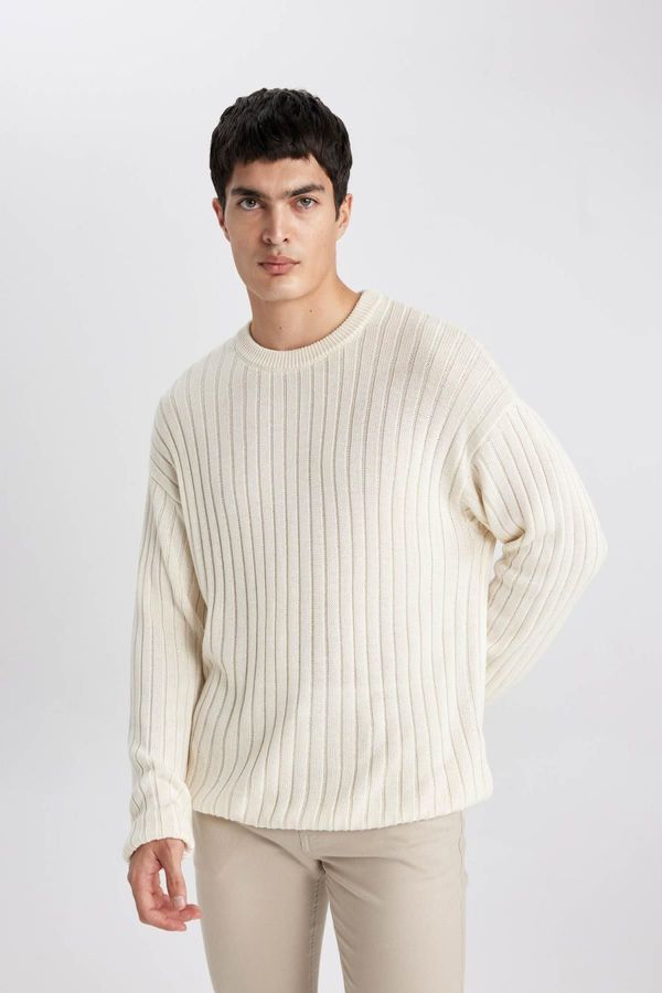 DEFACTO DEFACTO Relax Fit Crew Neck Sweater