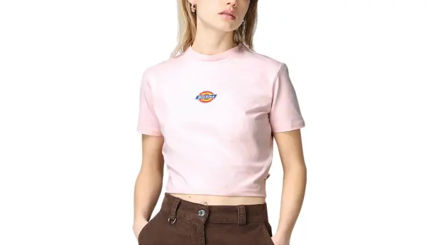 Dickies Dickies majica kratkih rukava s motivom Maple Valleyja