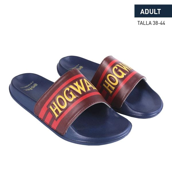 HARRY POTTER FLIP FLOPS POOL HARRY POTTER