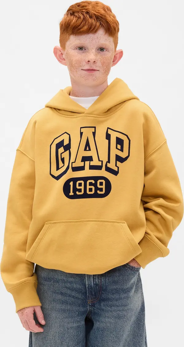 GAP GAP Children's Sweatshirt VintageSoft - Boys