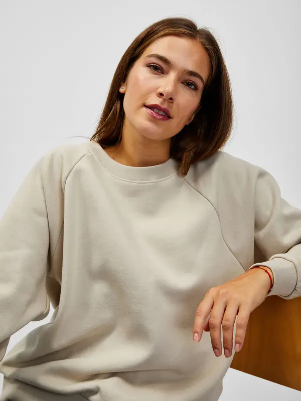 GAP GAP Raglan Vintage Soft Sweatshirt - Ladies