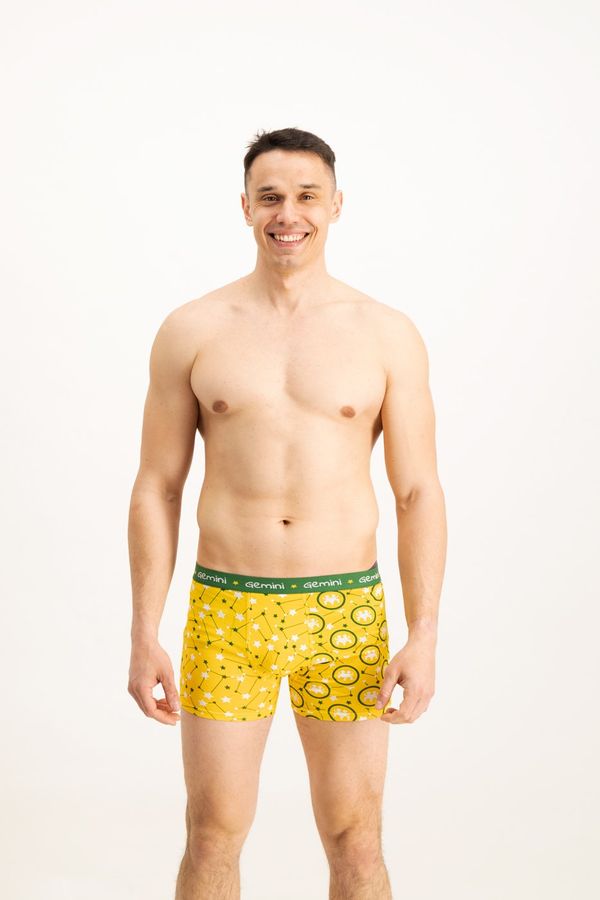 Frogies Men's boxers Frogies Zodiac Blizanci