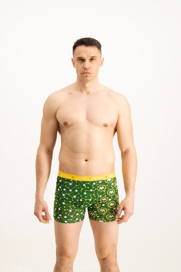Frogies Men's boxers Frogies Zodiac Blizanci