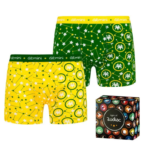 Frogies Men's boxers Frogies Zodiac Gemini 2P Gift box