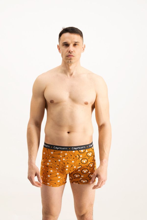 Frogies Men's boxers Frogies Zodiac Jarac