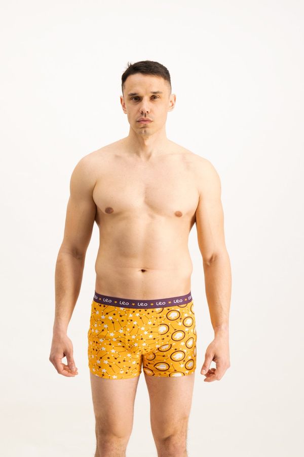 Frogies Men's boxers Frogies Zodiac Lav