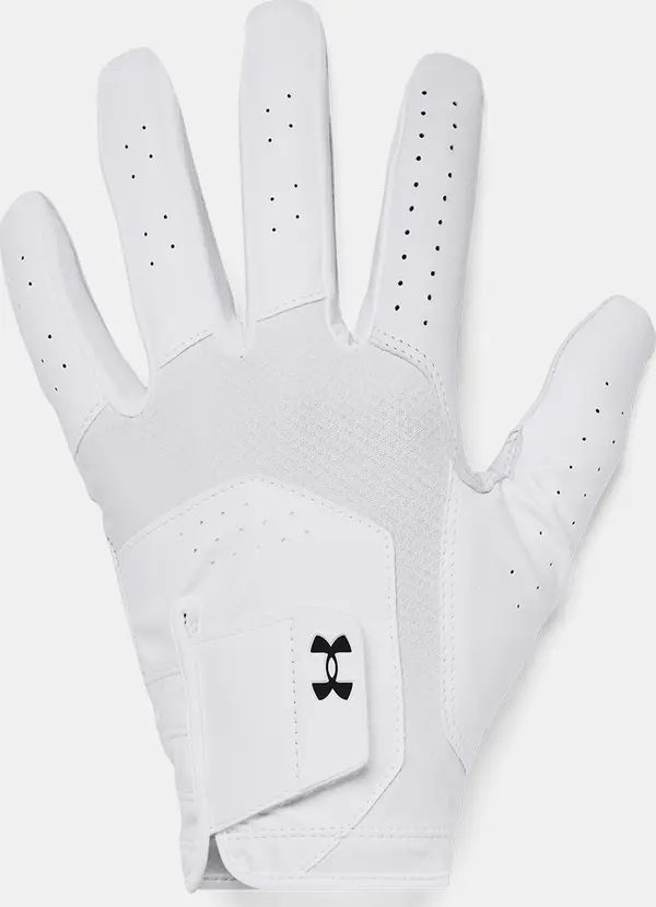 Under Armour Men's gloves Under Armour