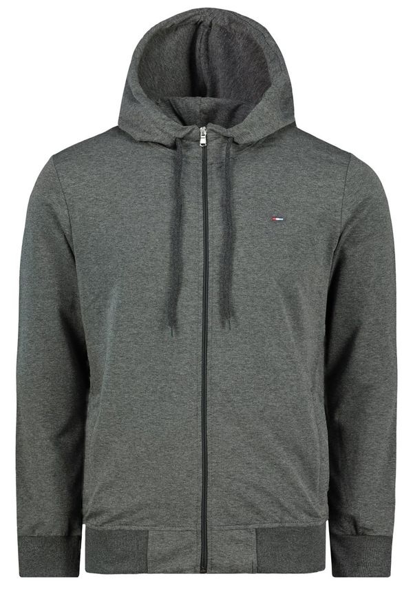 Aliatic Men's hoodie Aliatic