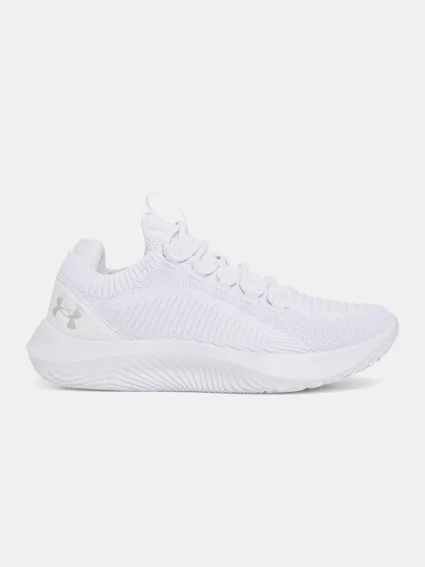 Under Armour Men's shoes Under Armour UA Dynamic 2 - Men's