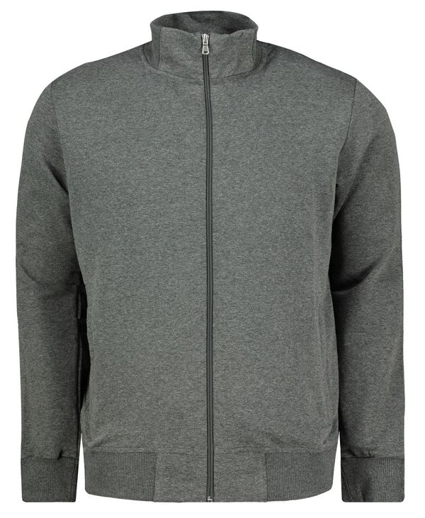 Aliatic Muška dukserica Aliatic