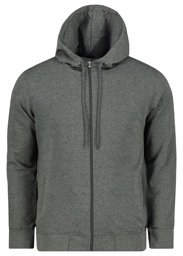 Aliatic Muška dukserica Aliatic