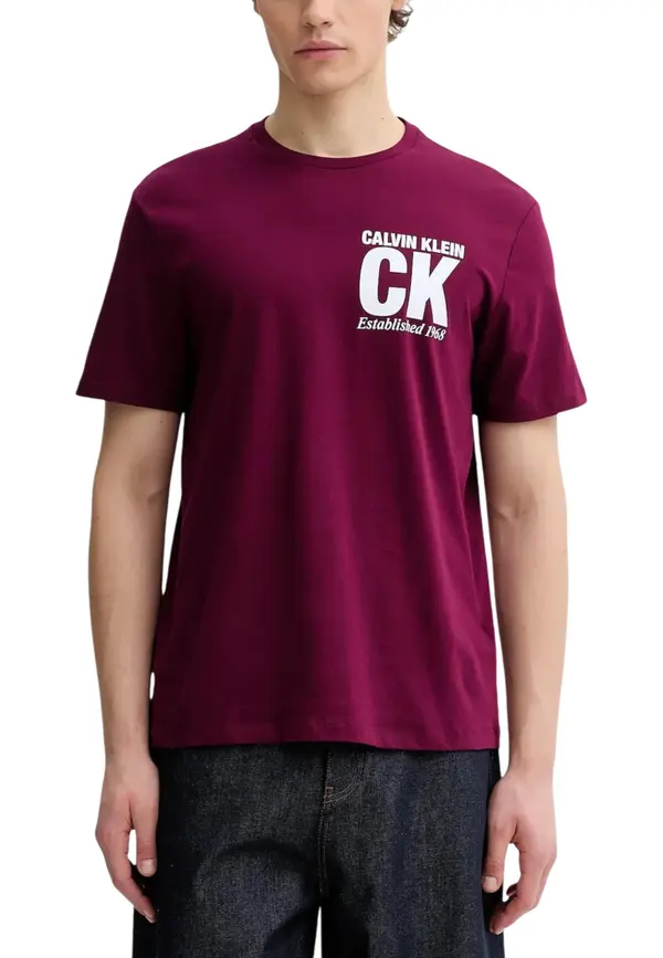 Calvin Klein Muška majica kratkih rukava marke Calvin Klein