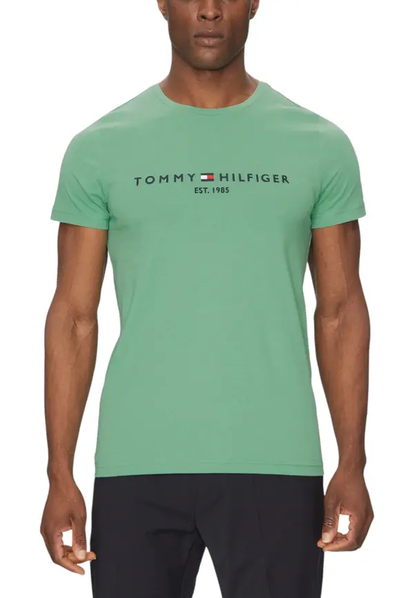 Tommy Hilfiger Jeans Muška majica kratkih rukava Tommy Hilfiger