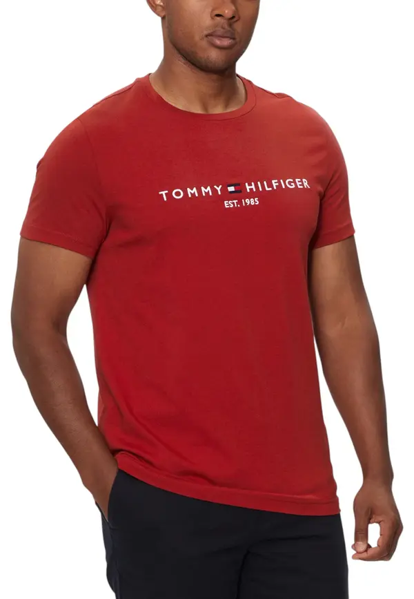 Tommy Hilfiger Jeans Muška majica kratkih rukava Tommy Hilfiger