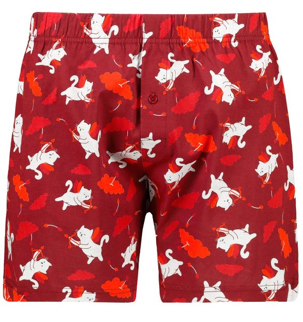 Frogies Muške bokserice Frogies