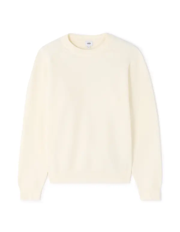Celio Muški džemper Celio Meclothild