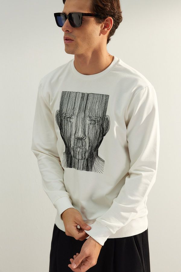 Trendyol Muški džemper Trendyol