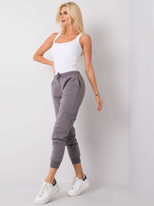 Fashionhunters NE UZIMAJ MI Sive pamučne trenirke s vezicom