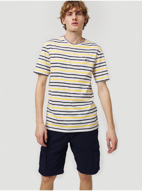 O'Neill ONeill Complex Cargo Shorts O'Neill - Men