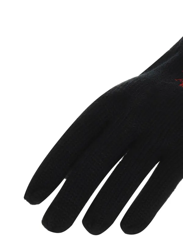 U.S. Polo Assn. Rukavice US Polo Assn. Noah