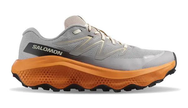 Salomon Salomon Ultra Flow 2 GTX muške tenisice sive boje