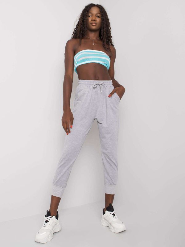 Fashionhunters Sive ženske pamučne hlače