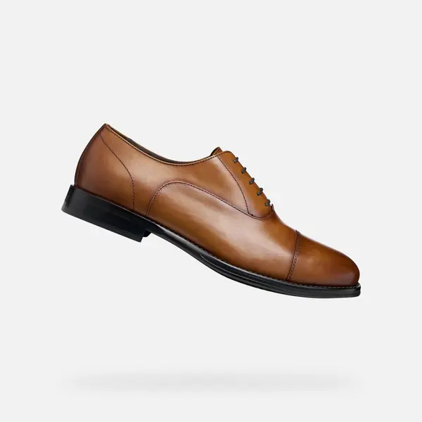 GEOX Smeđe muške formalne cipele Geox Barberigo